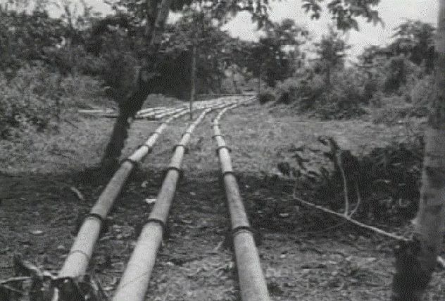  Parallel Pipeline 