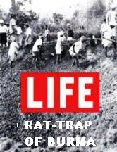  THE RAT-TRAP OF BURMA 