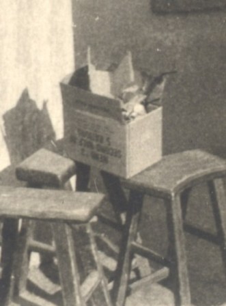 Jerome Boris' CBI Photos 