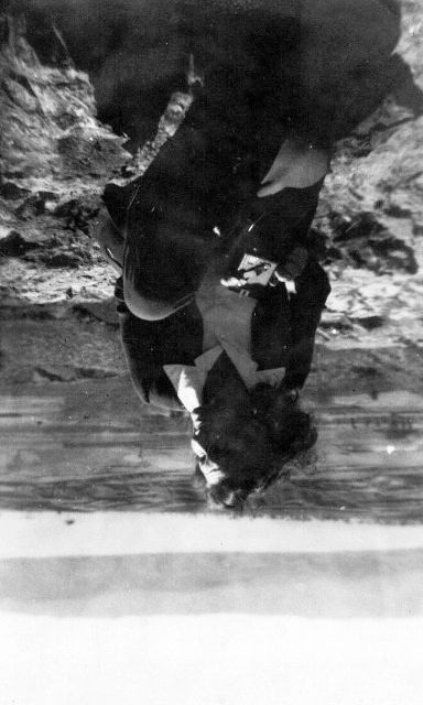  Jim Lewter Photo 