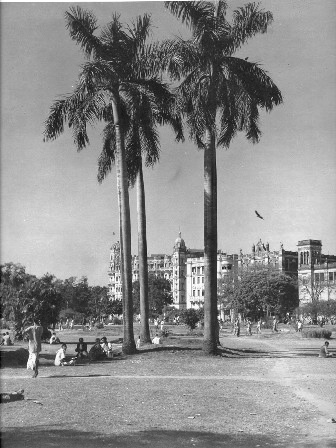  Sidney L. Major Photos 