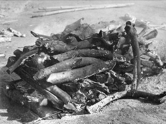  Sidney L. Major Photos 