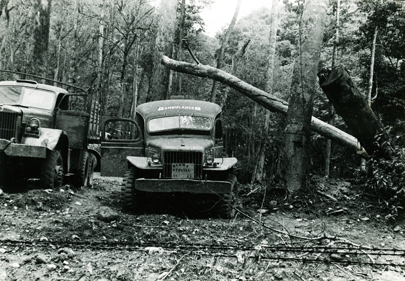  Photo by U.S. Army Signal Corps 