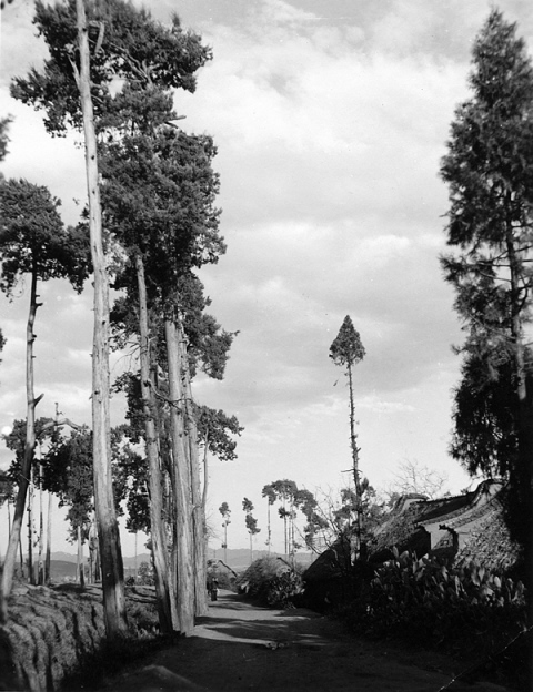  Photo by U.S. Army Signal Corps 