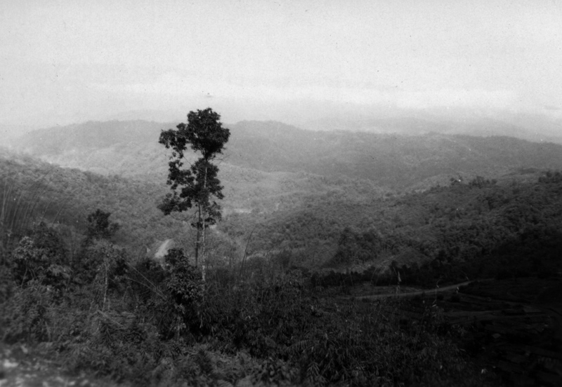  Photo by U.S. Army Signal Corps 