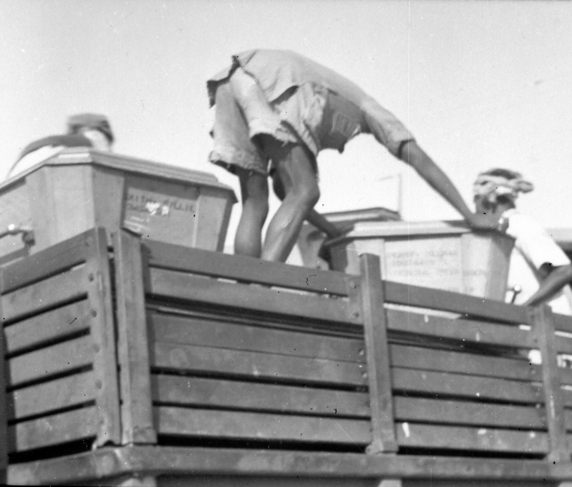  Robert Sterner Photos 