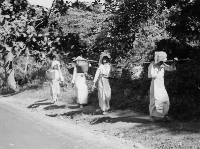  Robert Sterner Photos 