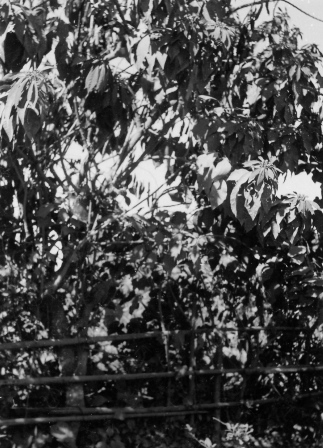  Robert Sterner Photos 