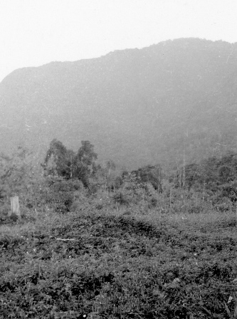  Robert Sterner Photos 