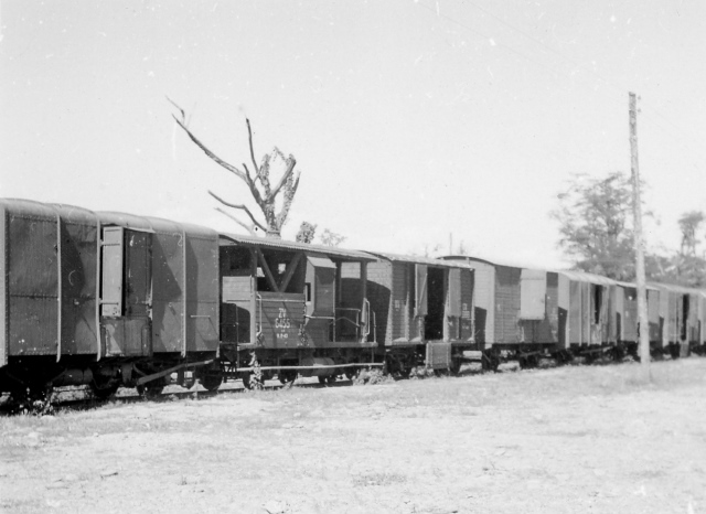  Robert Sterner Photos 