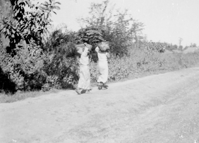  Robert Sterner Photos 