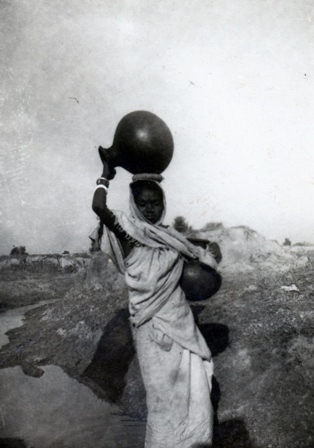  Robert Sterner Photos 