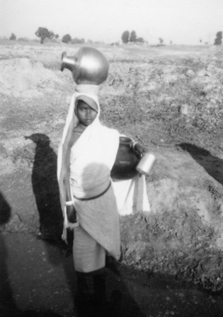  Robert Sterner Photos 