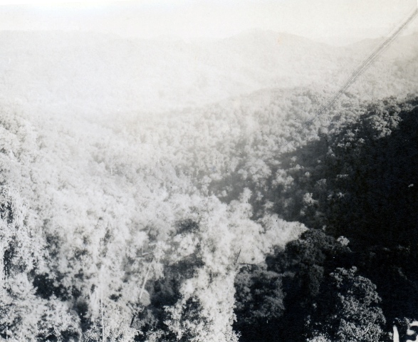  Robert Sterner Photos 