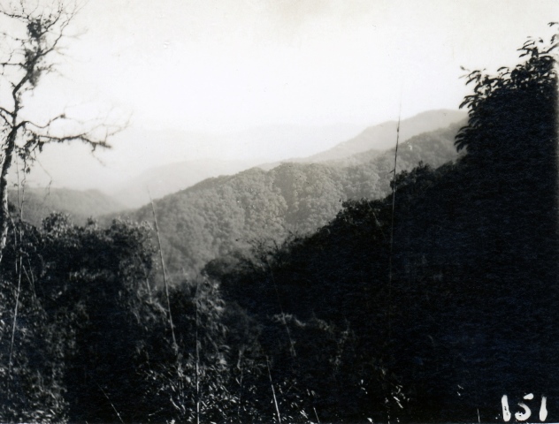  Robert Sterner Photos 