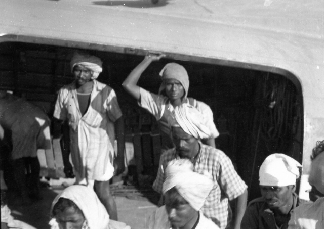  Robert Sterner Photos 