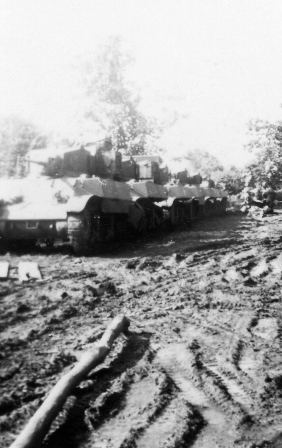  Robert Sterner Photos 