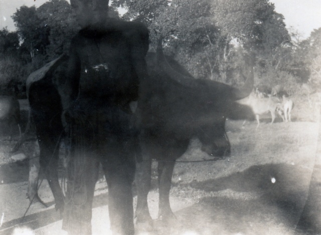  Robert Sterner Photos 