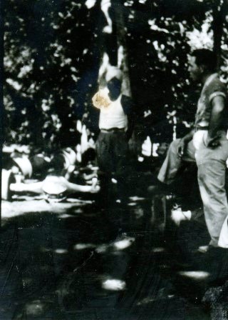  Robert Sterner Photos 